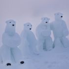 Eisbären auf der Zugspitze