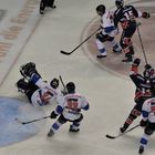 Eisbären Berlin - ERC Ingolstadt