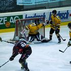 Eisbären Heilbronn vs Mad Dogs Mannheim