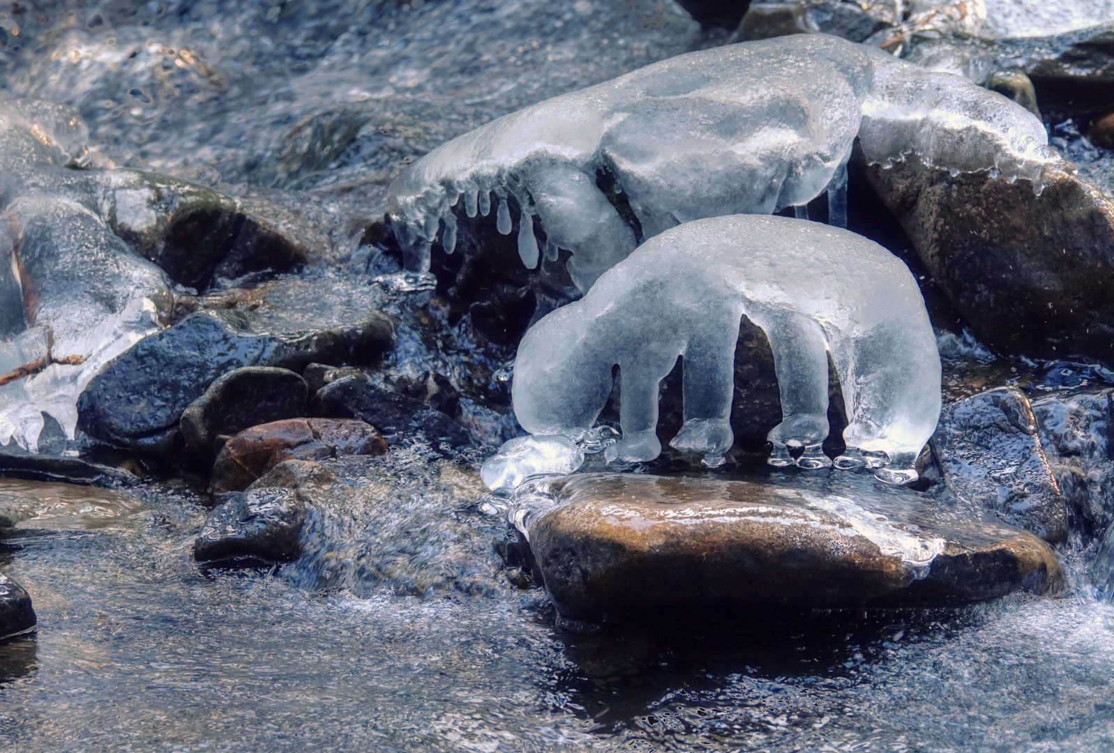 Eisbären im Harz