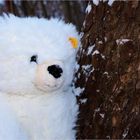 Eisbären kennen keine Kälte ....sagt Flöckchen....