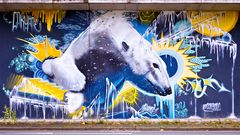 Eisbären müssen nie weinen!