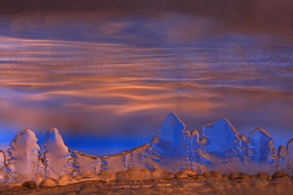 Eisbäume am Abend