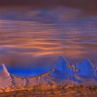 Eisbäume am Abend