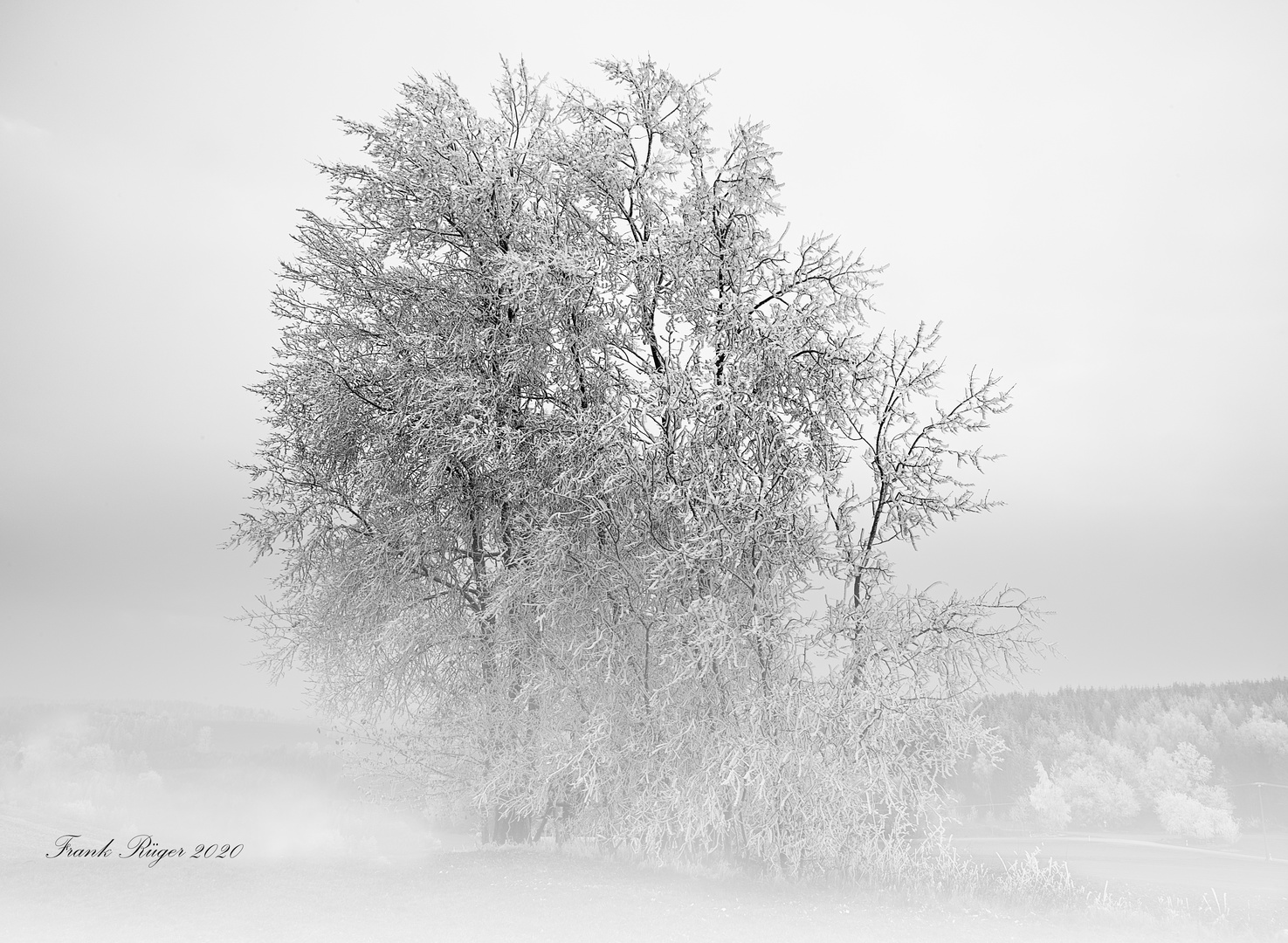 Eisbäume