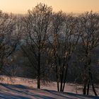 Eisbäume um Ponitz