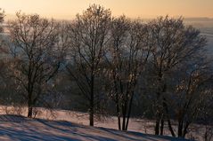 Eisbäume um Ponitz