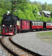 Eisbahnromantik in Alexisbad