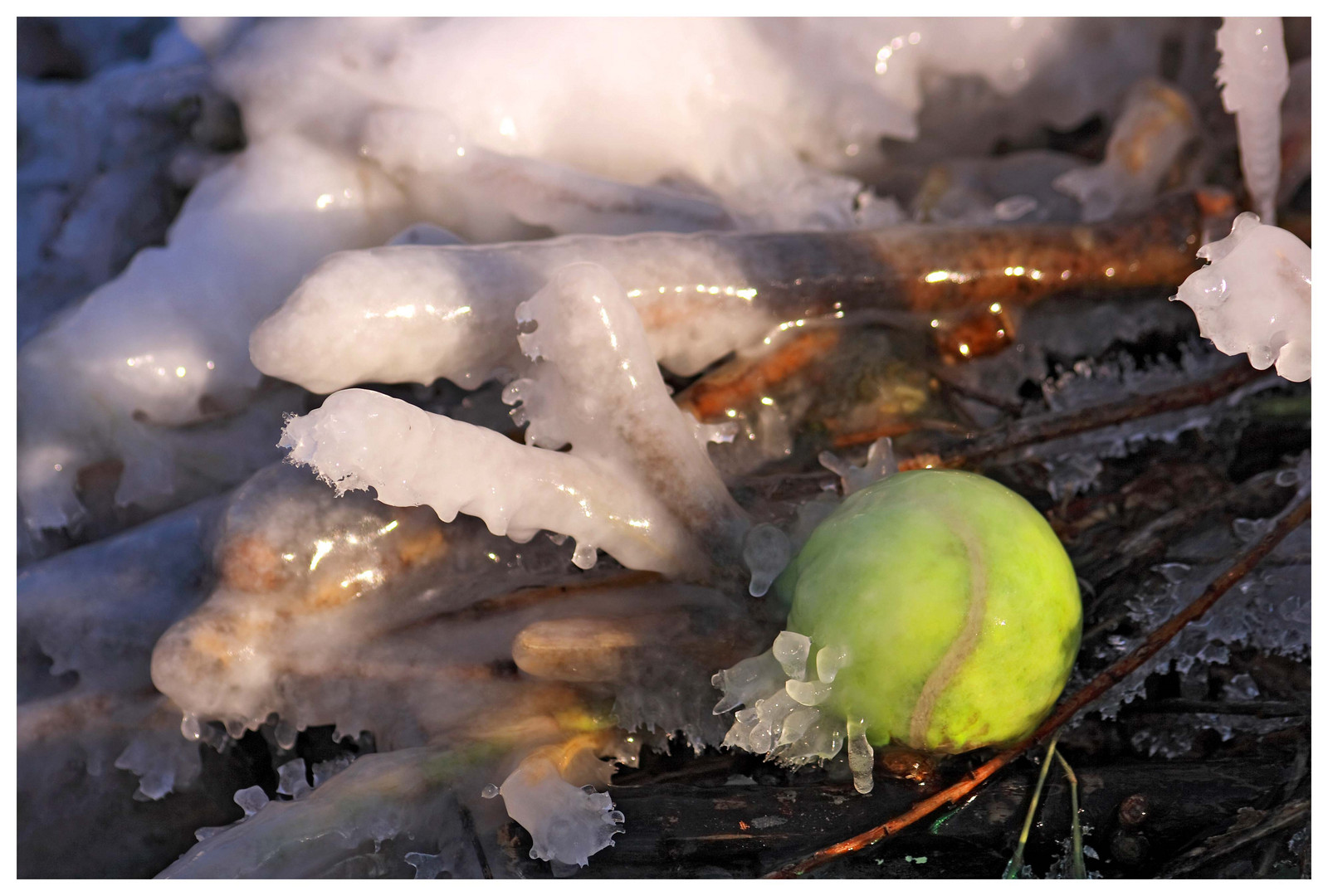 Eisball - Treibgut - "Frozen Ball" in der Blau bei Blaustein