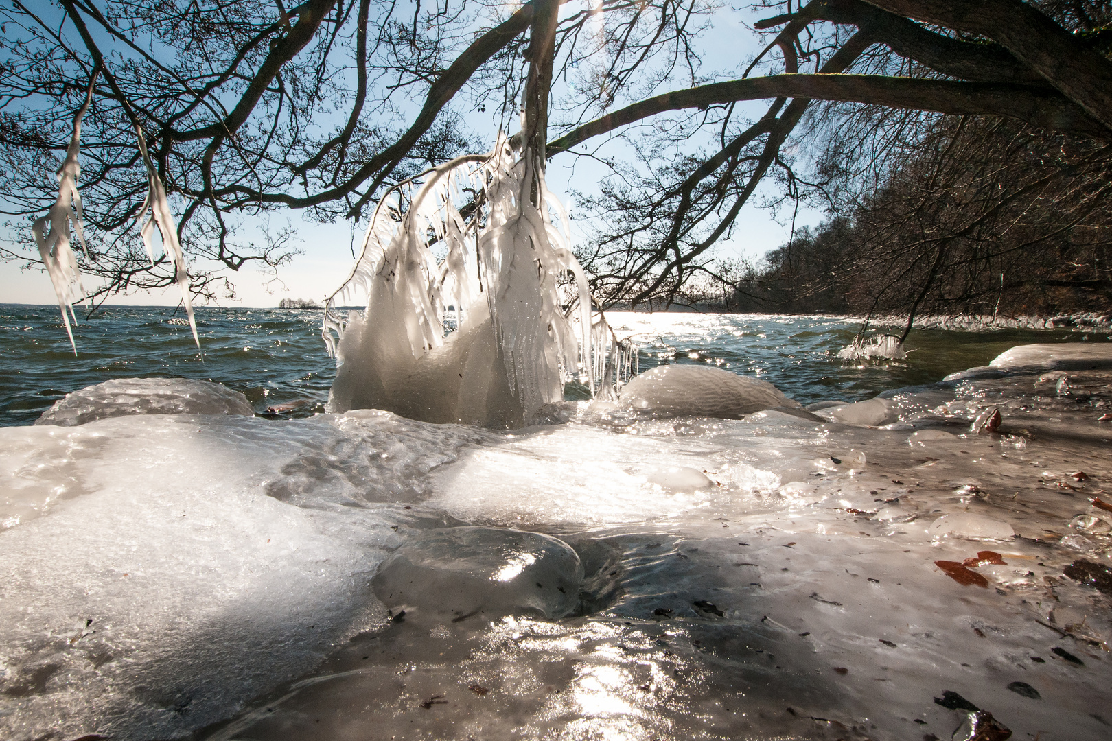 "Eisbaum" am Schweriner See