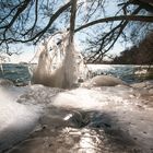 "Eisbaum" am Schweriner See