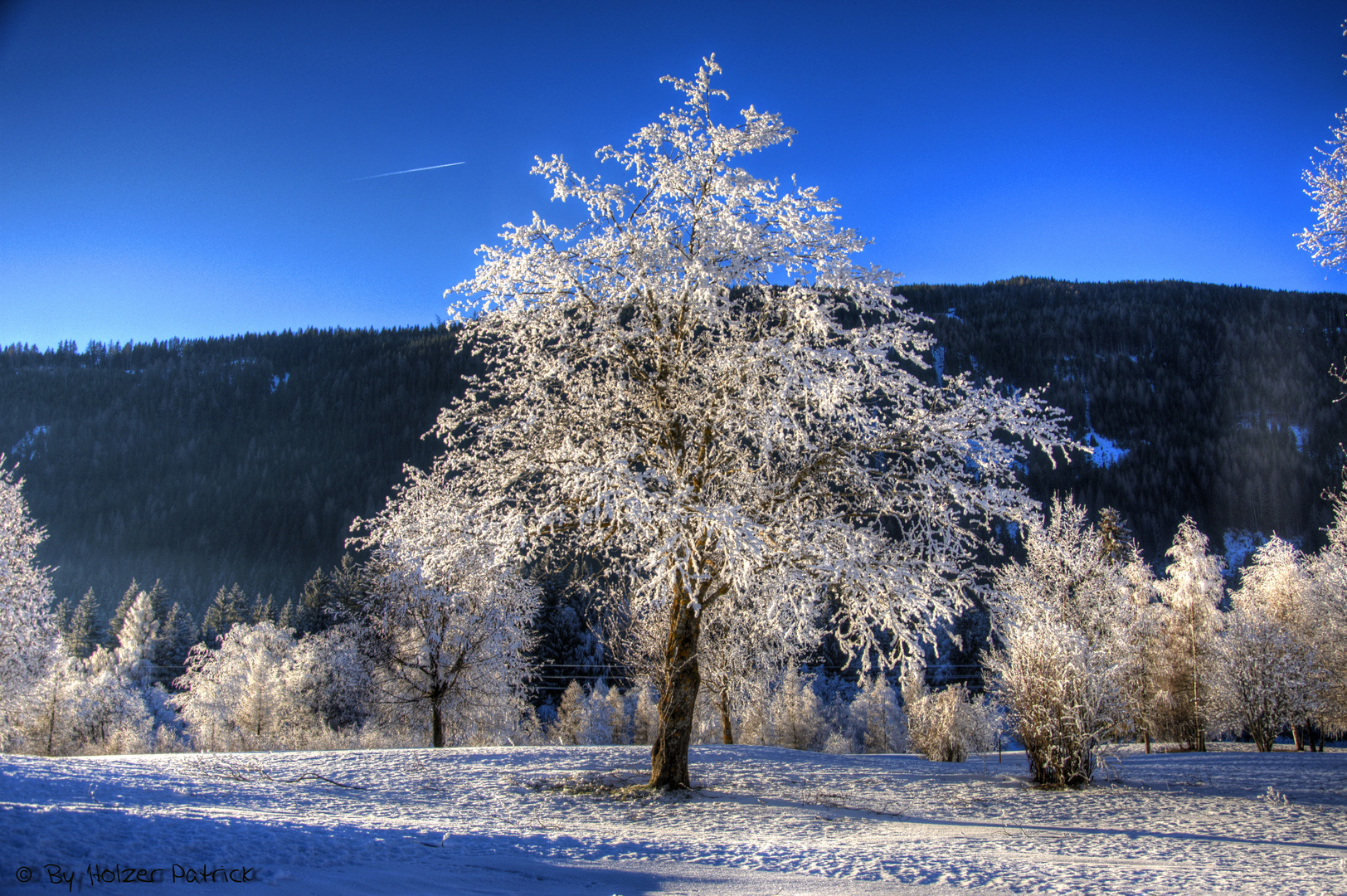 Eisbaum HDR