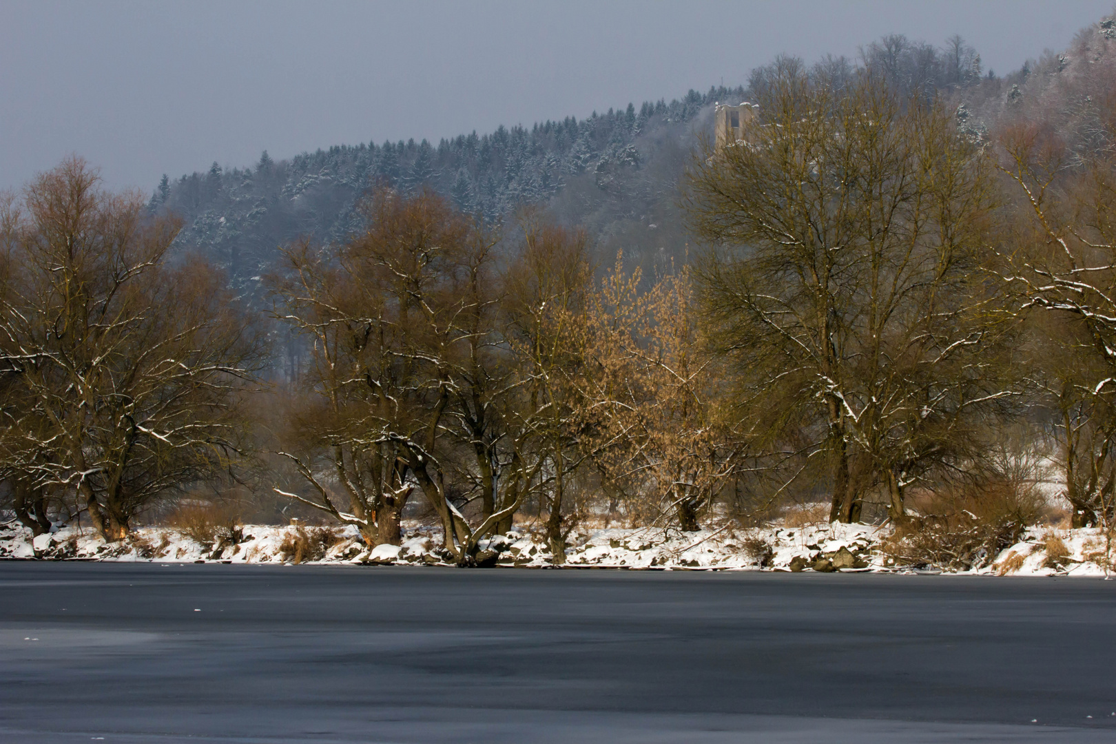 Eisbedeckter Donau-Altwasserarm