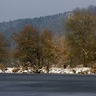 Eisbedeckter Donau-Altwasserarm