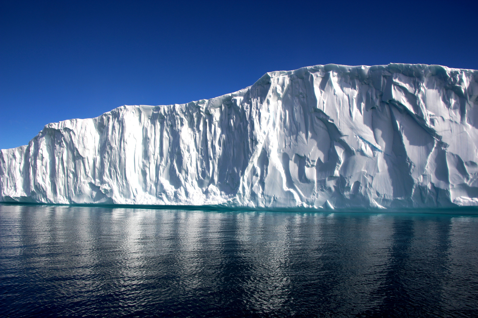 Eisberg am Kangia Eisfjord