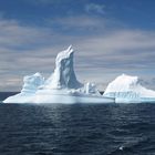 Eisberg auf dem Weg in die Drake Passage