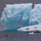 Eisberg bei Paulat Island