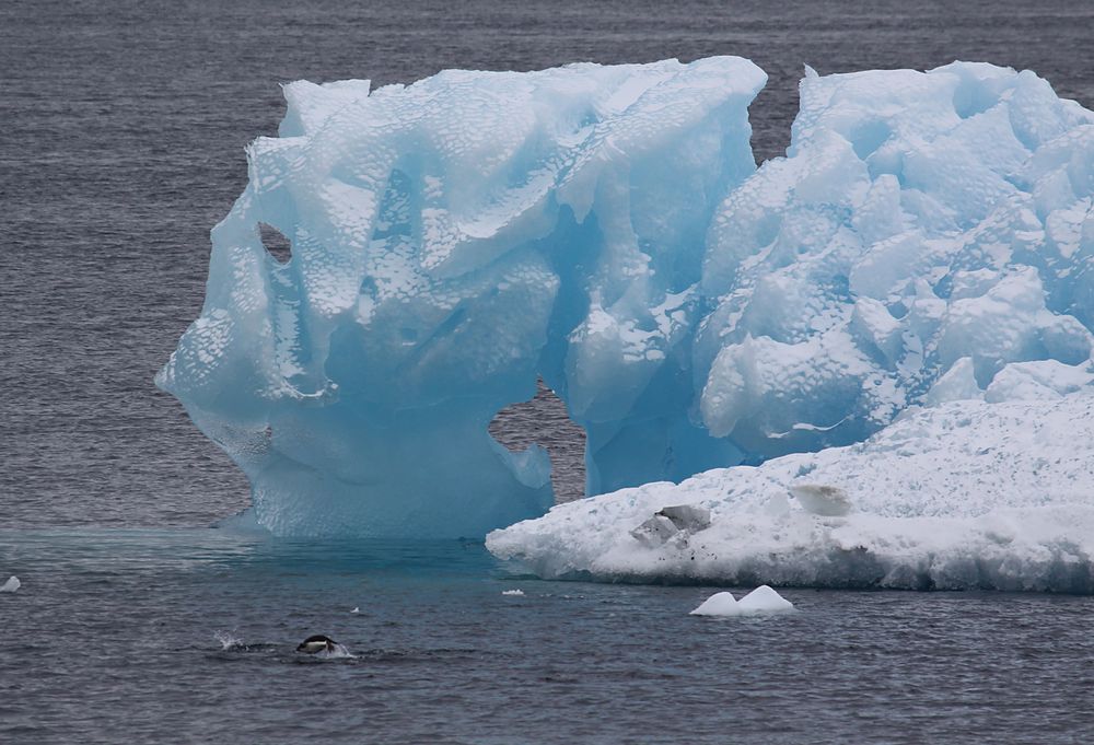 Eisberg bei Paulat Island