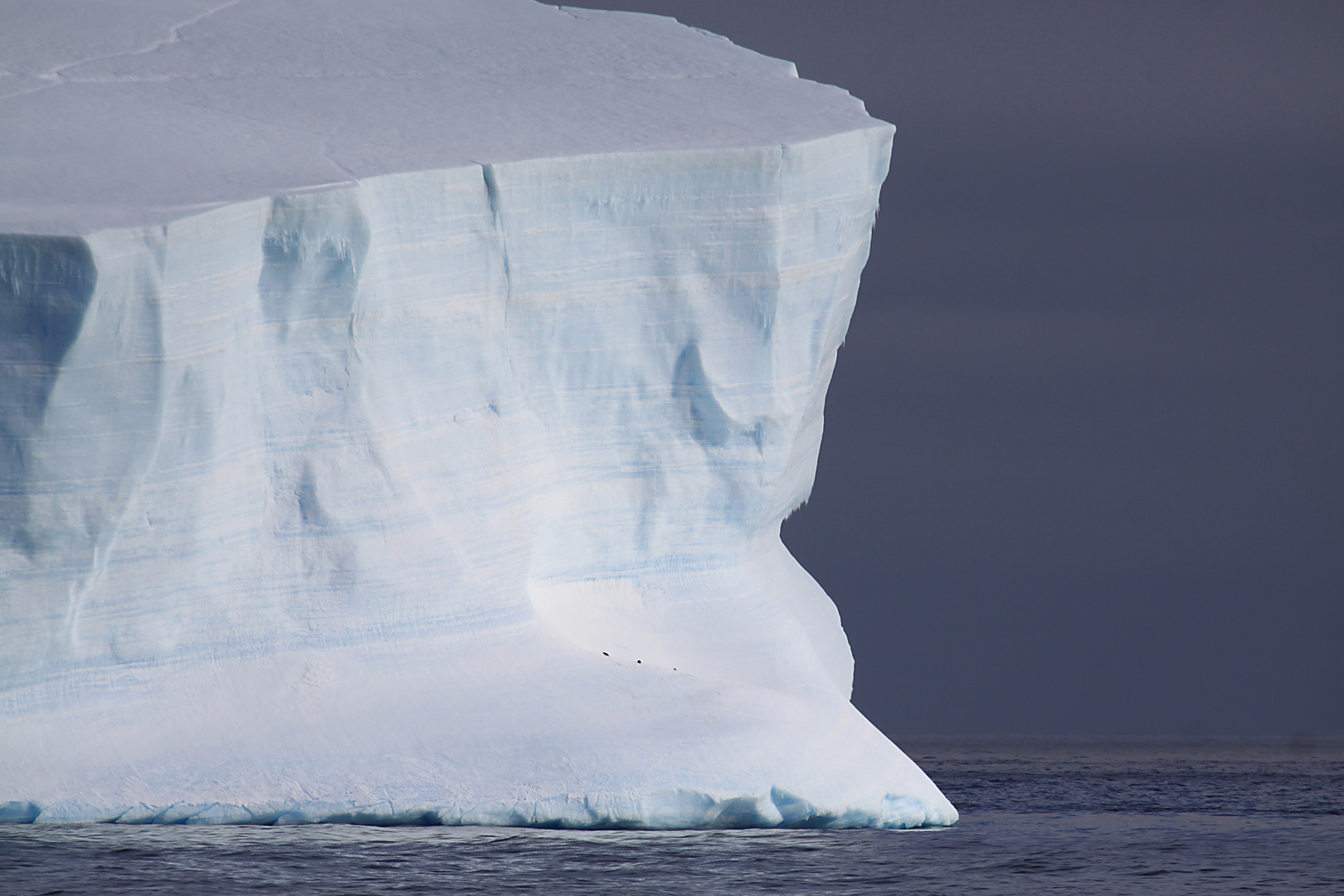 Eisberg im Antarctic Sound