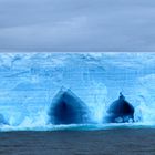 Eisberg in der Scotia Sea