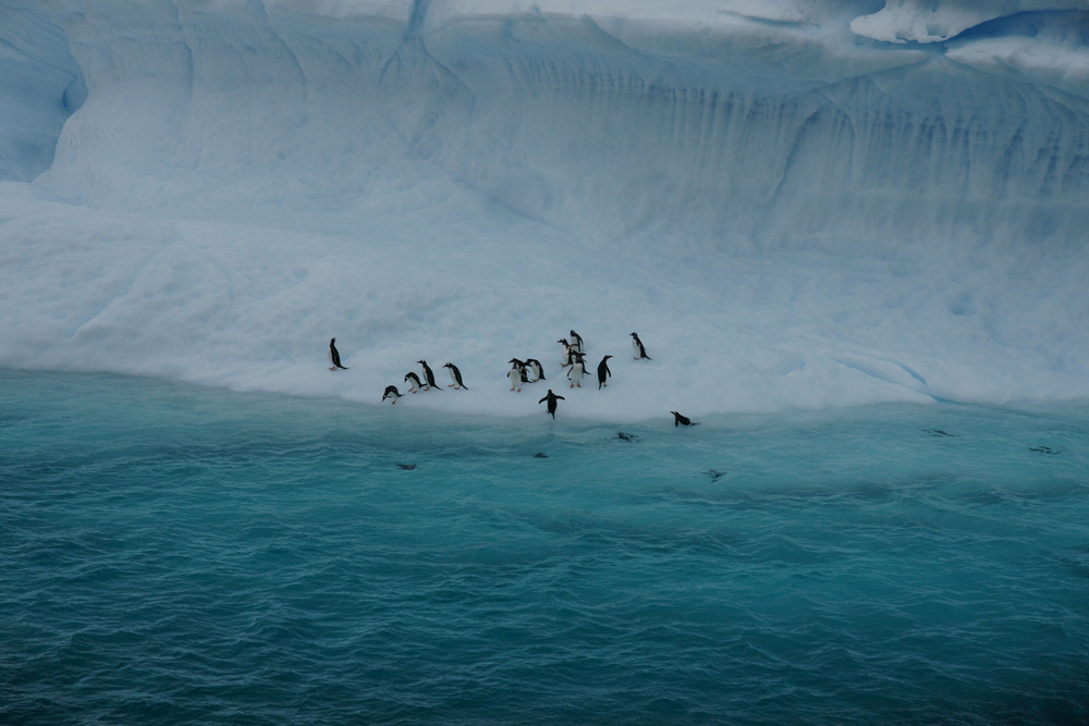 Eisberg mit Besatzung / Iceberg with Crew