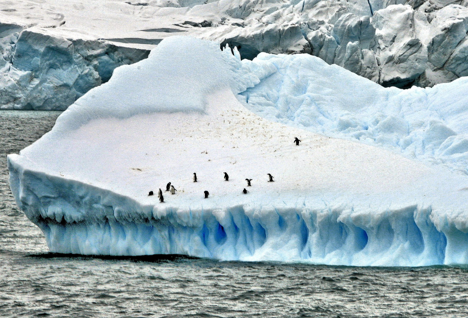 Eisberg mit Pinguinen