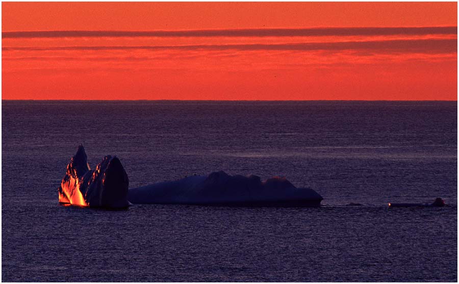 Eisberg nach Mitternacht