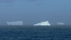 Eisberg Panorama in der Gerlache Strait