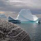 Eisberg; Qeqertarsuaq, Westgrönland