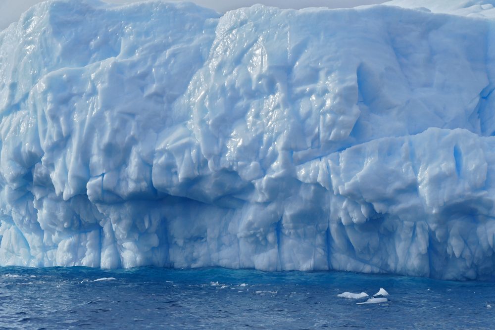 Eisberg vor  der Base Esperanza 