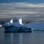 Eisberg vor Melchior Island, Antarktis