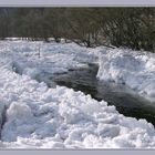 Eisberge auf der Ulster