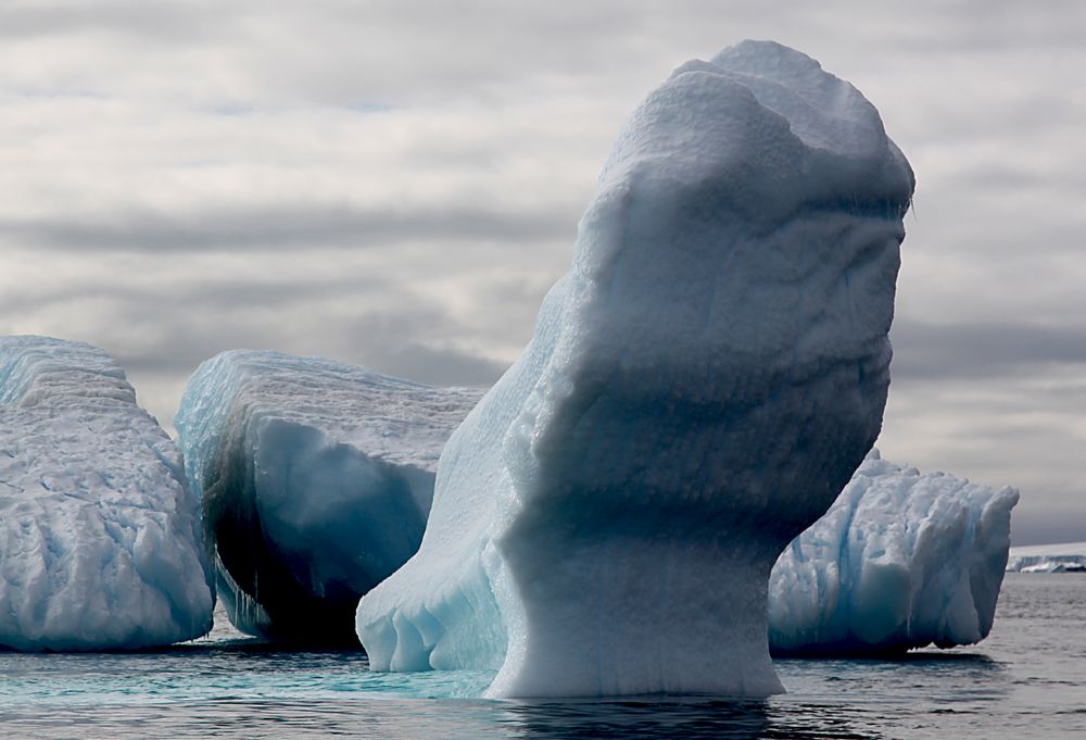 Eisberge bei Kennel Island