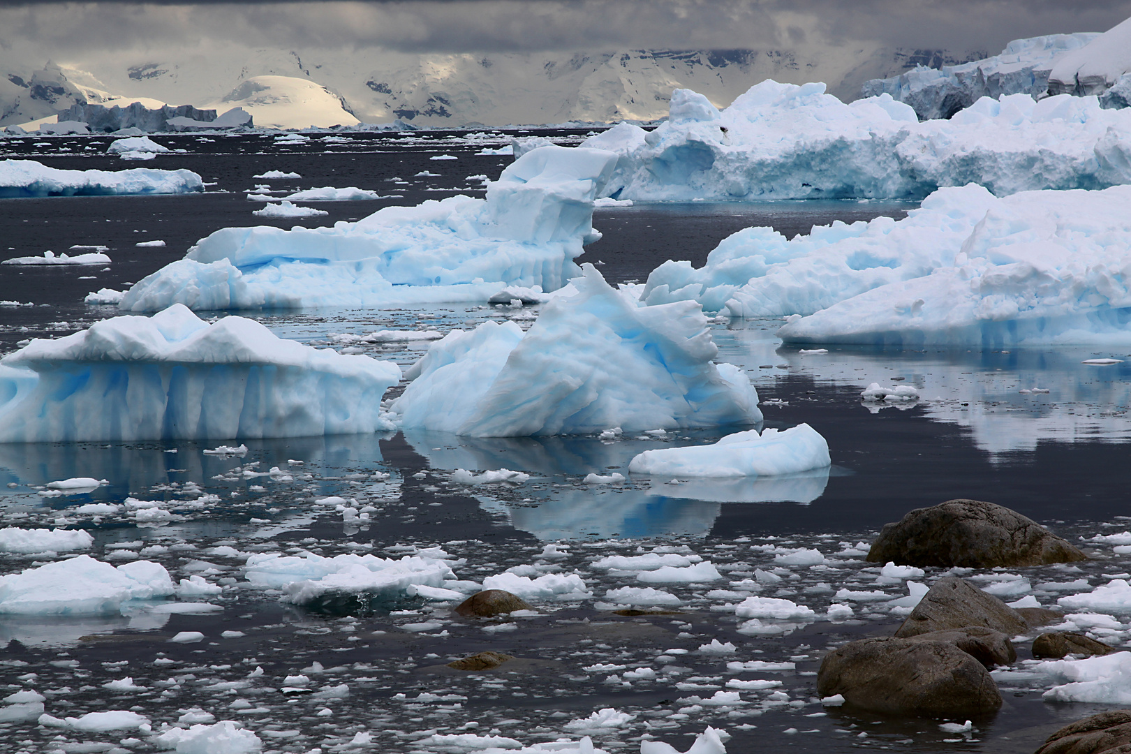 Eisberge bei Necko Harbour