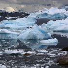 Eisberge bei Necko Harbour