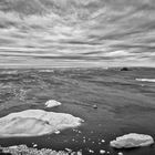 Eisberge bei Twillingate