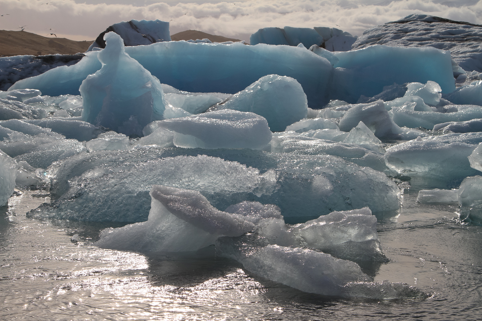 Eisberge der Joekulsarlon Lagune 1