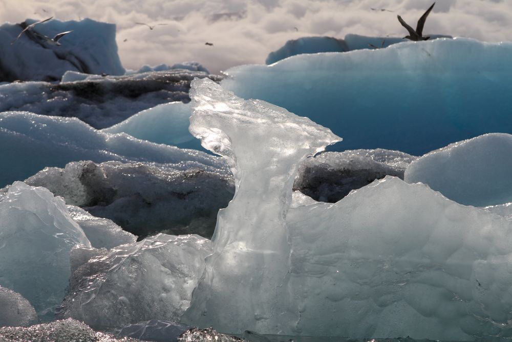 Eisberge der Joekulsarlon Lagune 2