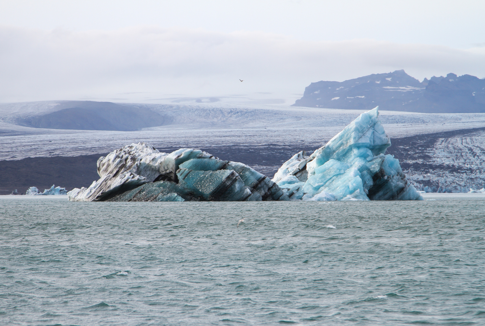 Eisberge der Joekulsarlon Lagune 5