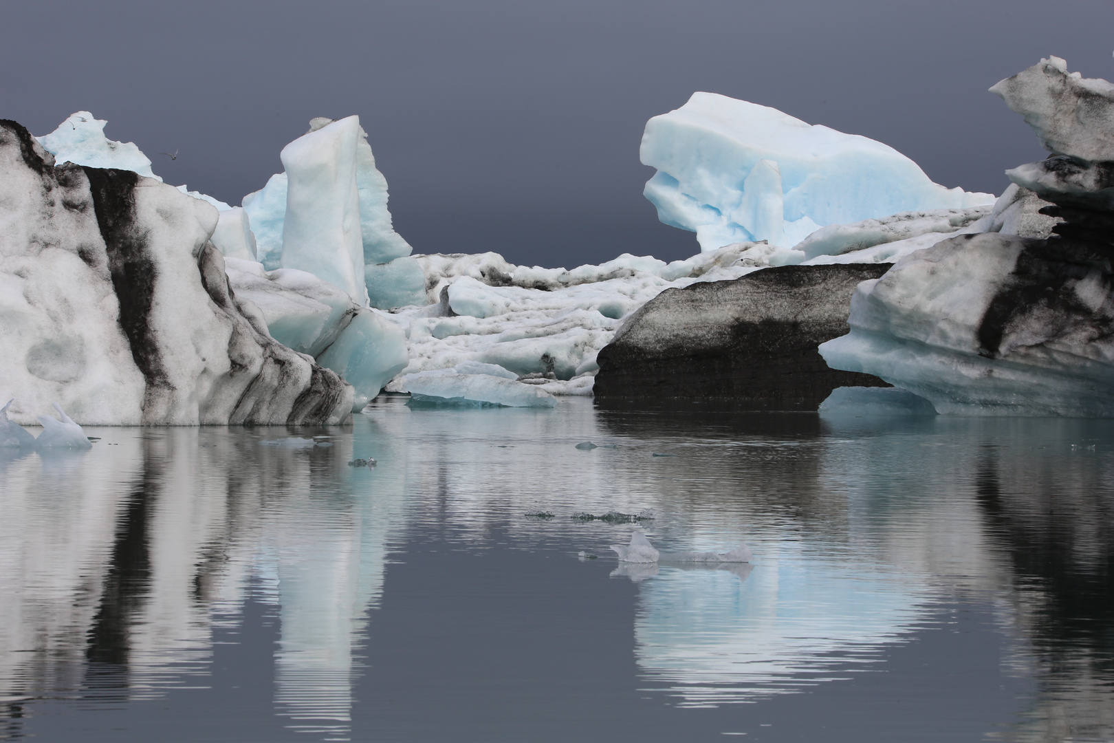 Eisberge frisch vom Gletscher