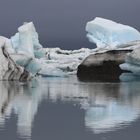 Eisberge frisch vom Gletscher