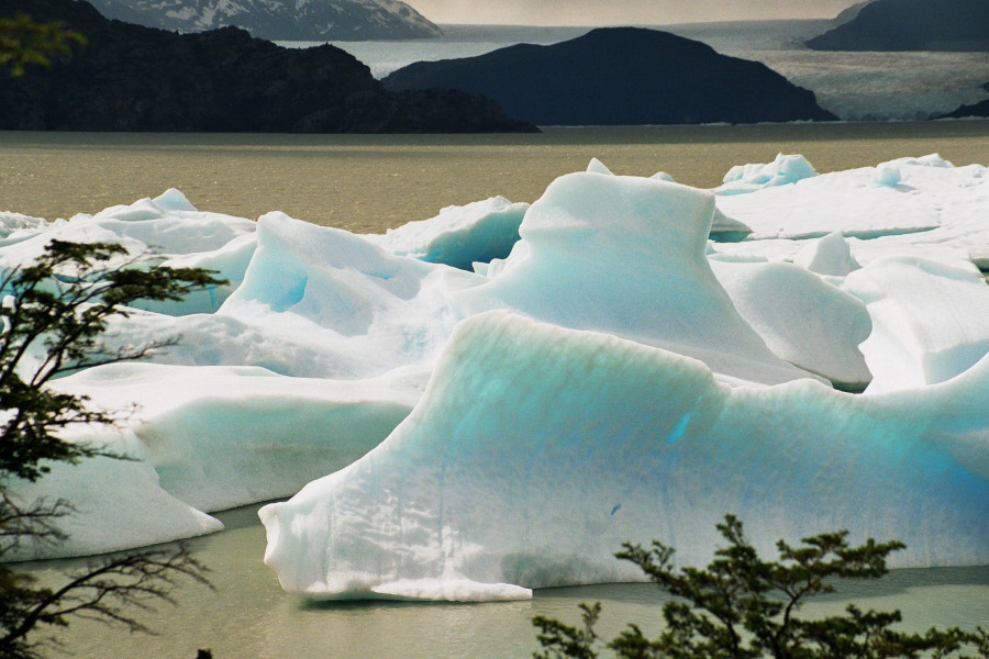 Eisberge / Grey Gletscher, Chile