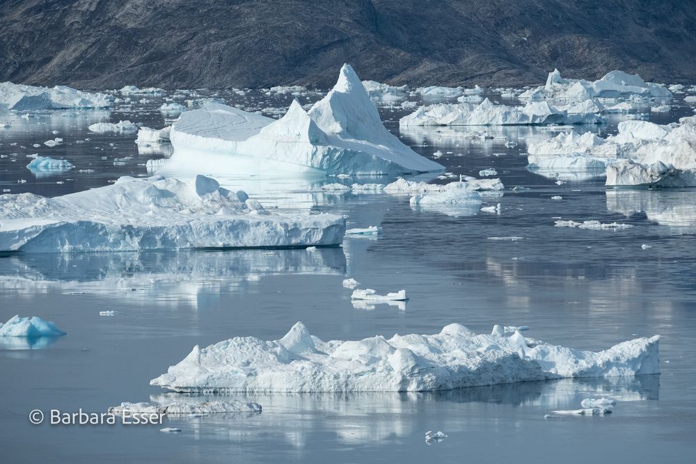 Eisberge im arktischen Nordmeer Ostgrönlands