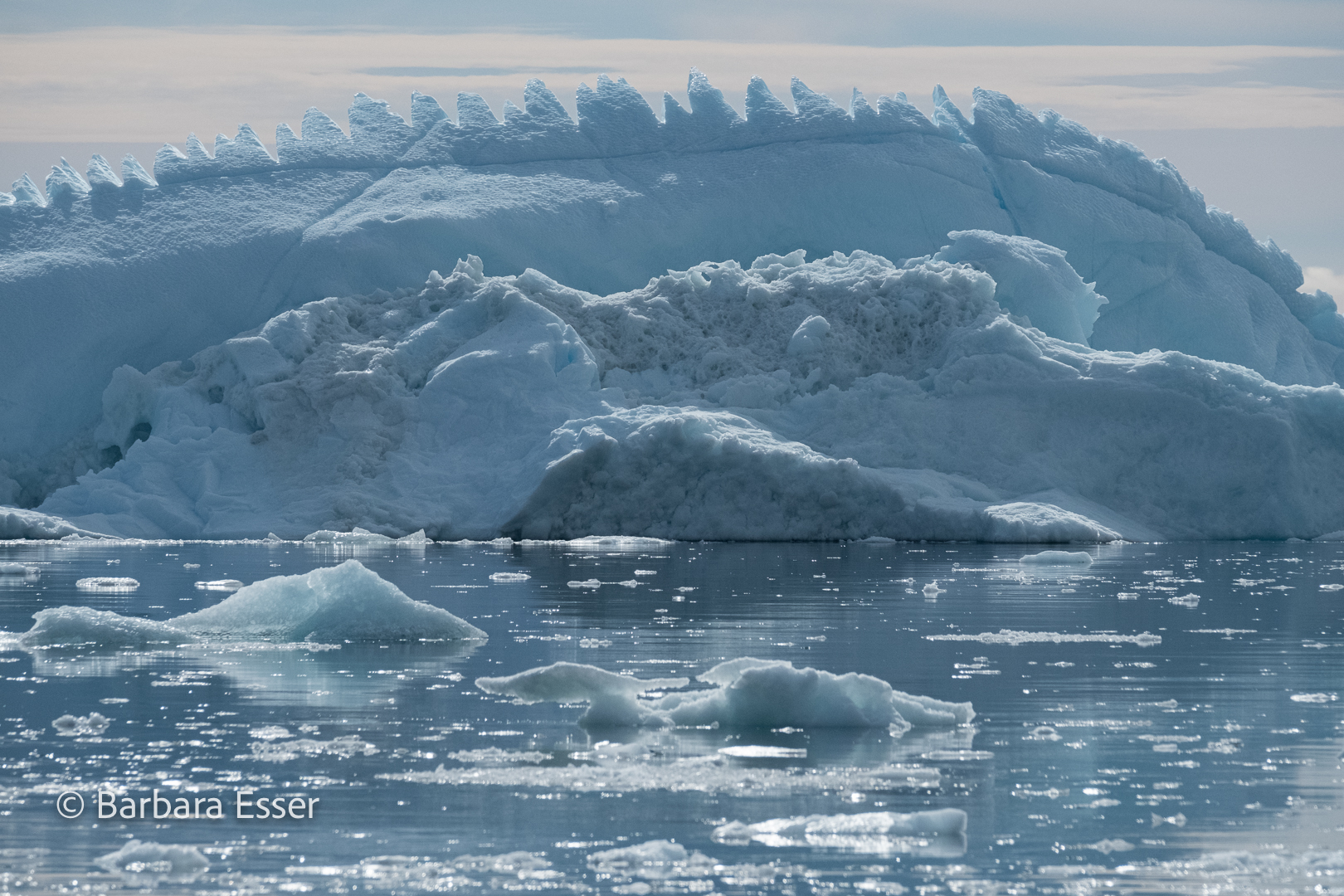 Eisberge im arktischen Nordmeer Ostgrönlands