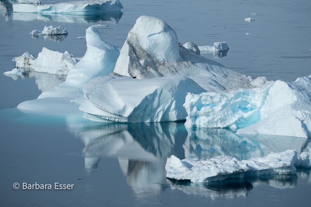 Eisberge im arktischen Nordmeer Ostgrönlands