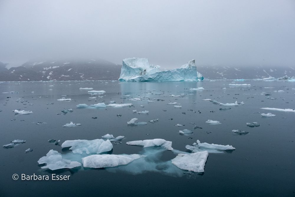 Eisberge im arktischen Nordmeer Ostgrönlands