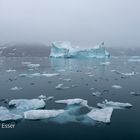 Eisberge im arktischen Nordmeer Ostgrönlands