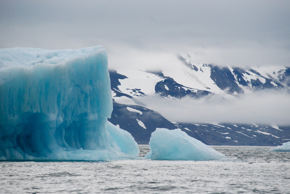 Eisberge im Hornsundet - Svalbard