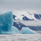 Eisberge im Hornsundet - Svalbard