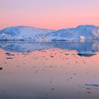 Eisberge im rosa Licht